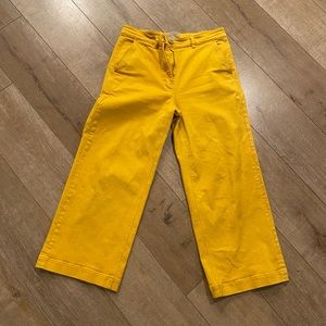 Everlane Crop Wide Leg Pant